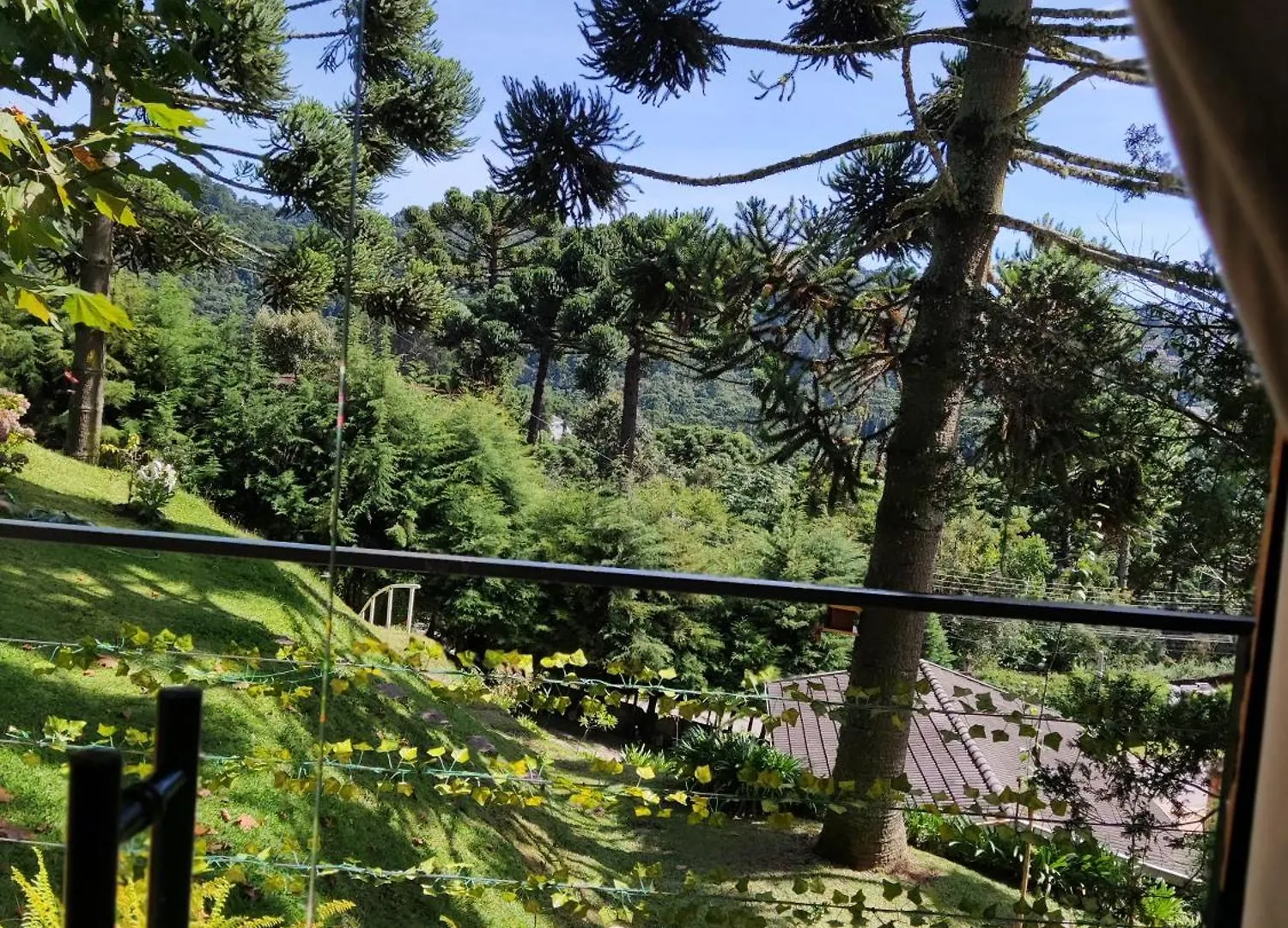 Chale Alecrin, Lancamento Em Conforto E Estilo! Campos do Jordao Holiday home