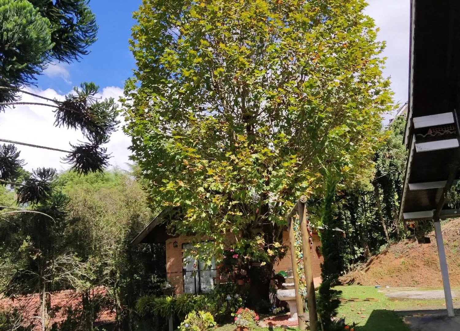 Holiday home Chale Alecrin, Lancamento Em Conforto E Estilo! Campos do Jordao